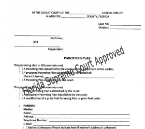 Free Parenting Plan Template from www.divorce-lawyer-tampa.net