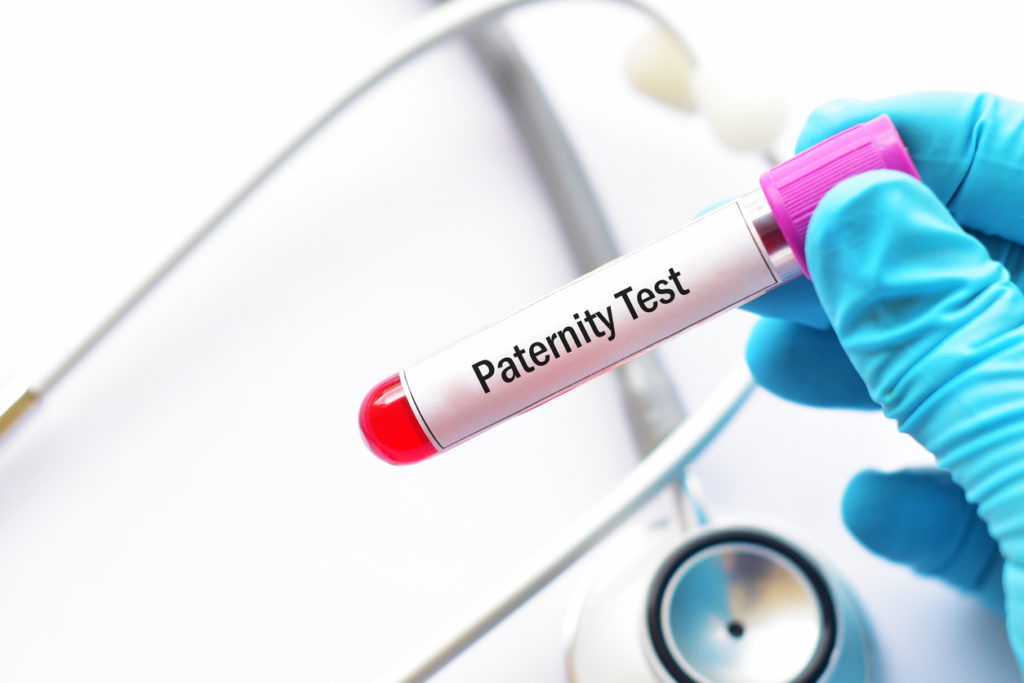 Tampa family law attorney, establishing paternity