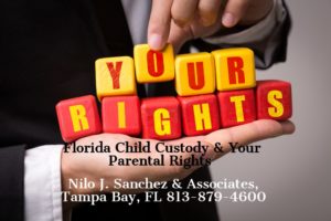 Parental Rights, Tampa Bay FL,