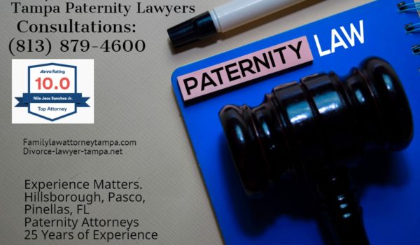 establish paternity in Tampa Bay