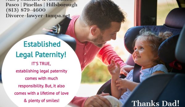 Family law attorneys, paternity Tampa, FL - Hillsborough, Pinellas, Pasco