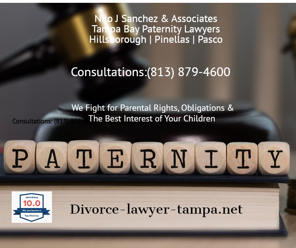 Tampa Paternity Attorneys