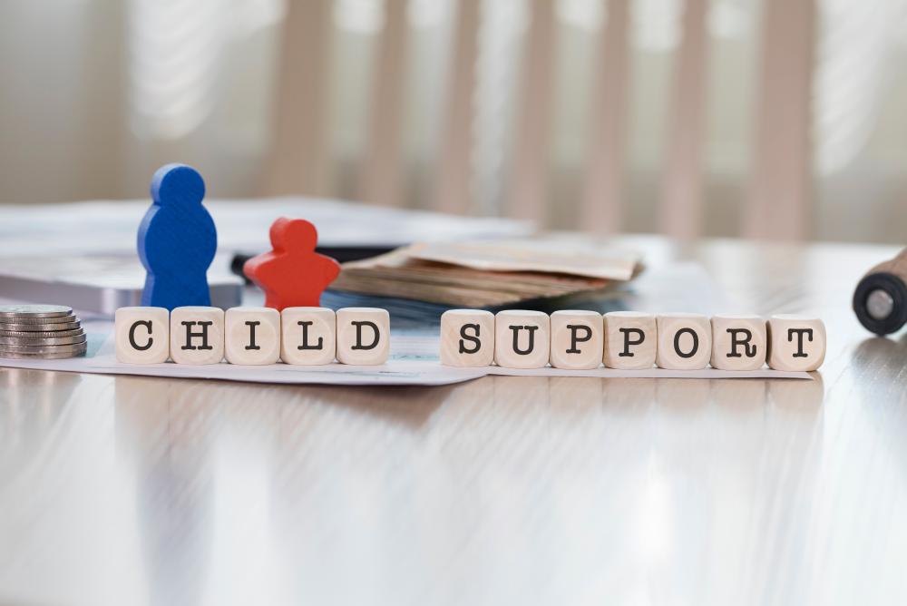 Child support lawyers Tampa, Brandon, St Petersburg, Clearwater, Wesley Chapel, Lutz