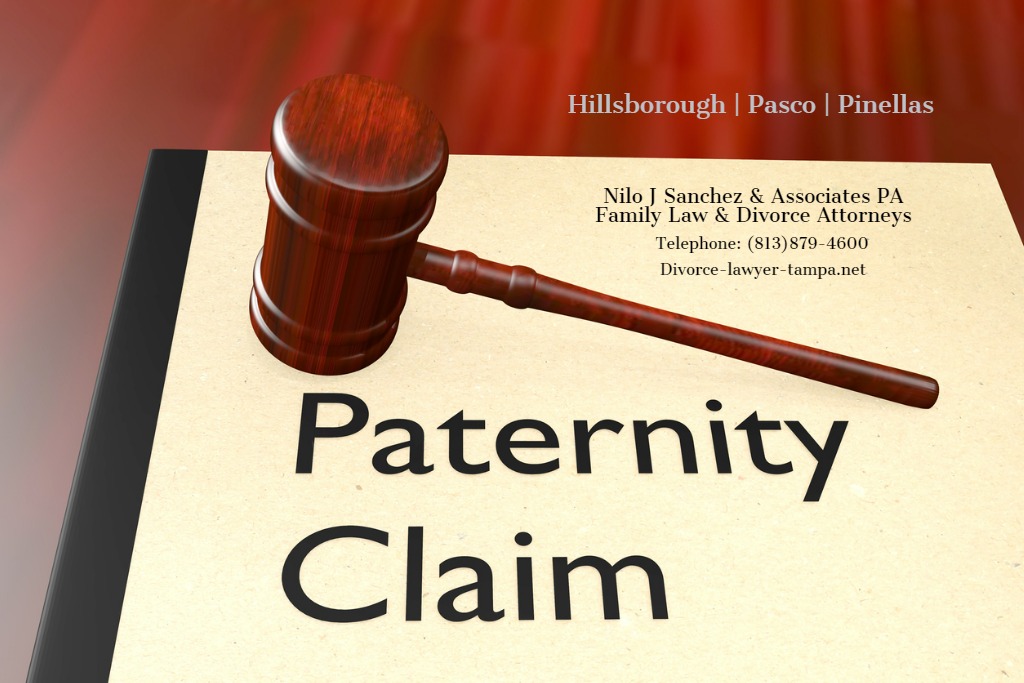 Paternity Lawyers Pasco Pinellas Hillsborough